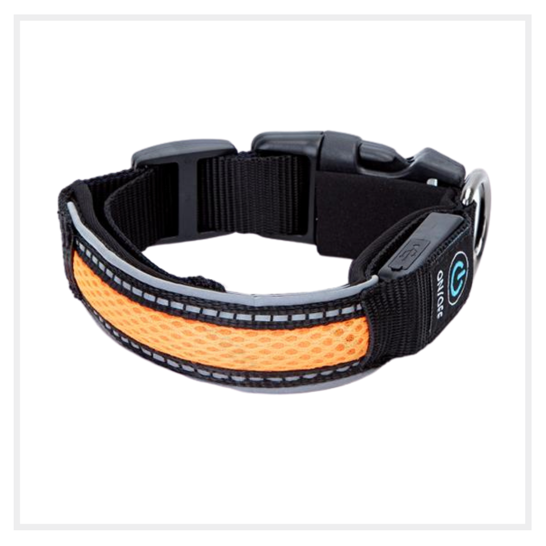 collare cane led arancione