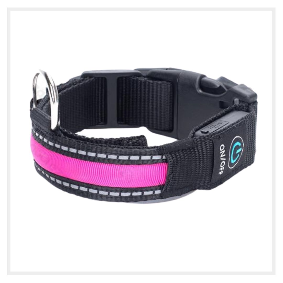 collare led luminoso rosa