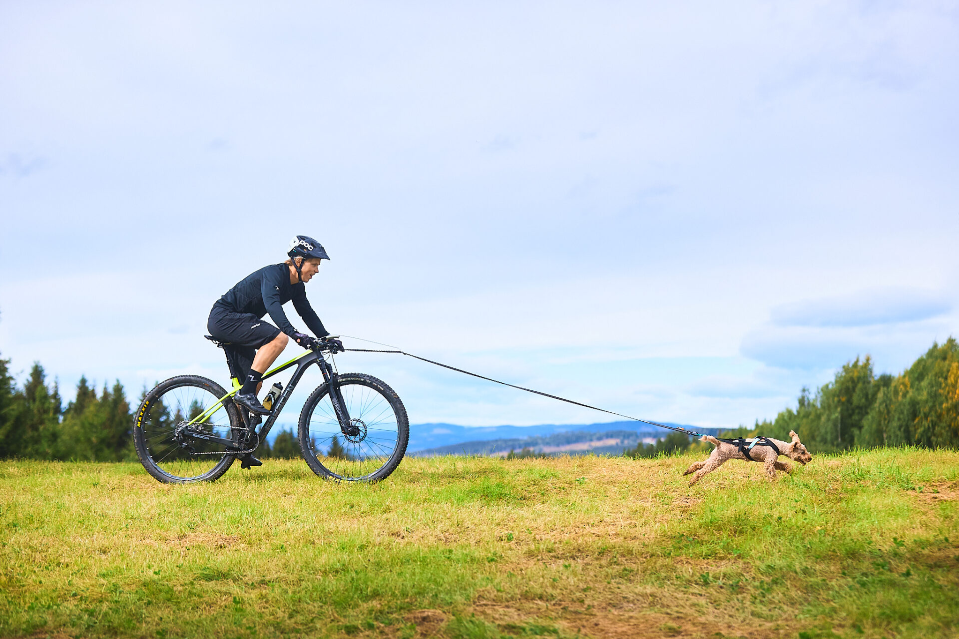 Collare per Cane Bikejoring e Sleddog - Comfort e Resistenza - immagine 5