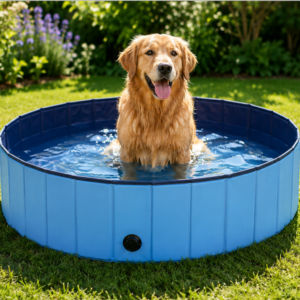 Cane che si rinfresca in una piscina pieghevole per cani in giardino