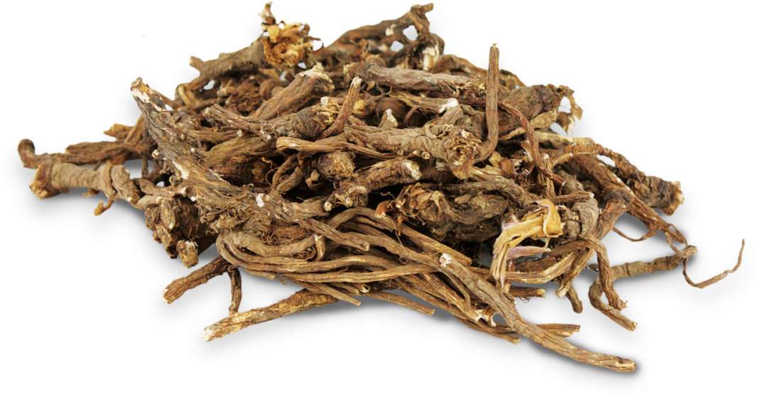 Radici di tarassaco naturali per roditori, ideali per conigli e cavie