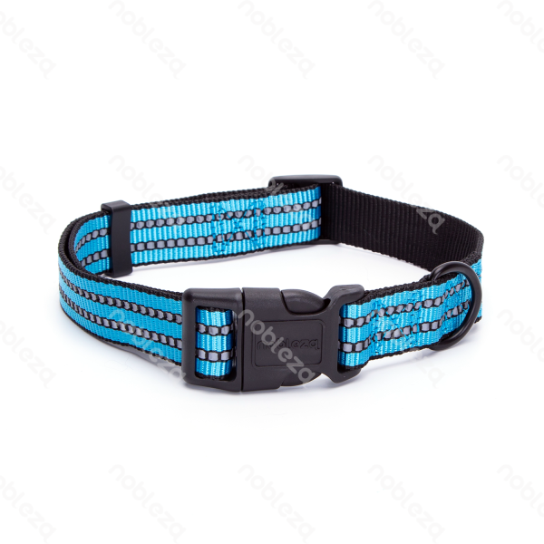 collare per cani celeste riflettente
