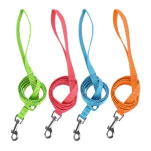 Guinzagli fluorescenti per cani in verde, rosa, azzurro e arancione
