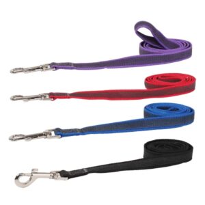 Quattro guinzagli in nylon arrotolati in colori viola, rosso, blu e nero, ognuno con un moschettone in metallo, adatti per passeggiate sicure e stilose.