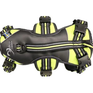 Pettorina antifuga Broad Peak regolabile per cani vista dall'alto