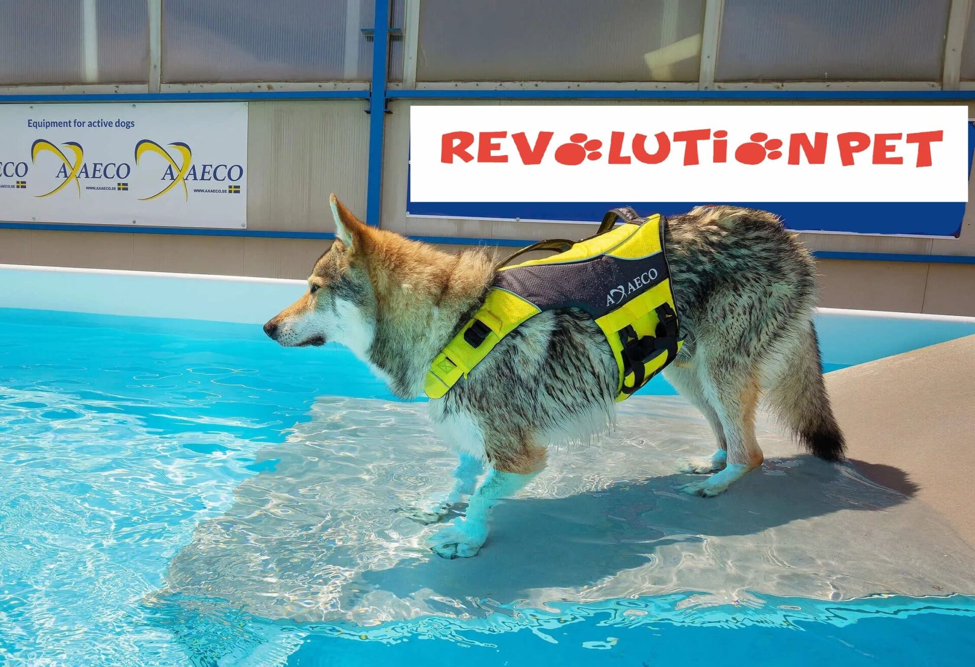 Giubbotto Salvagente Cani AQUA - immagine 5