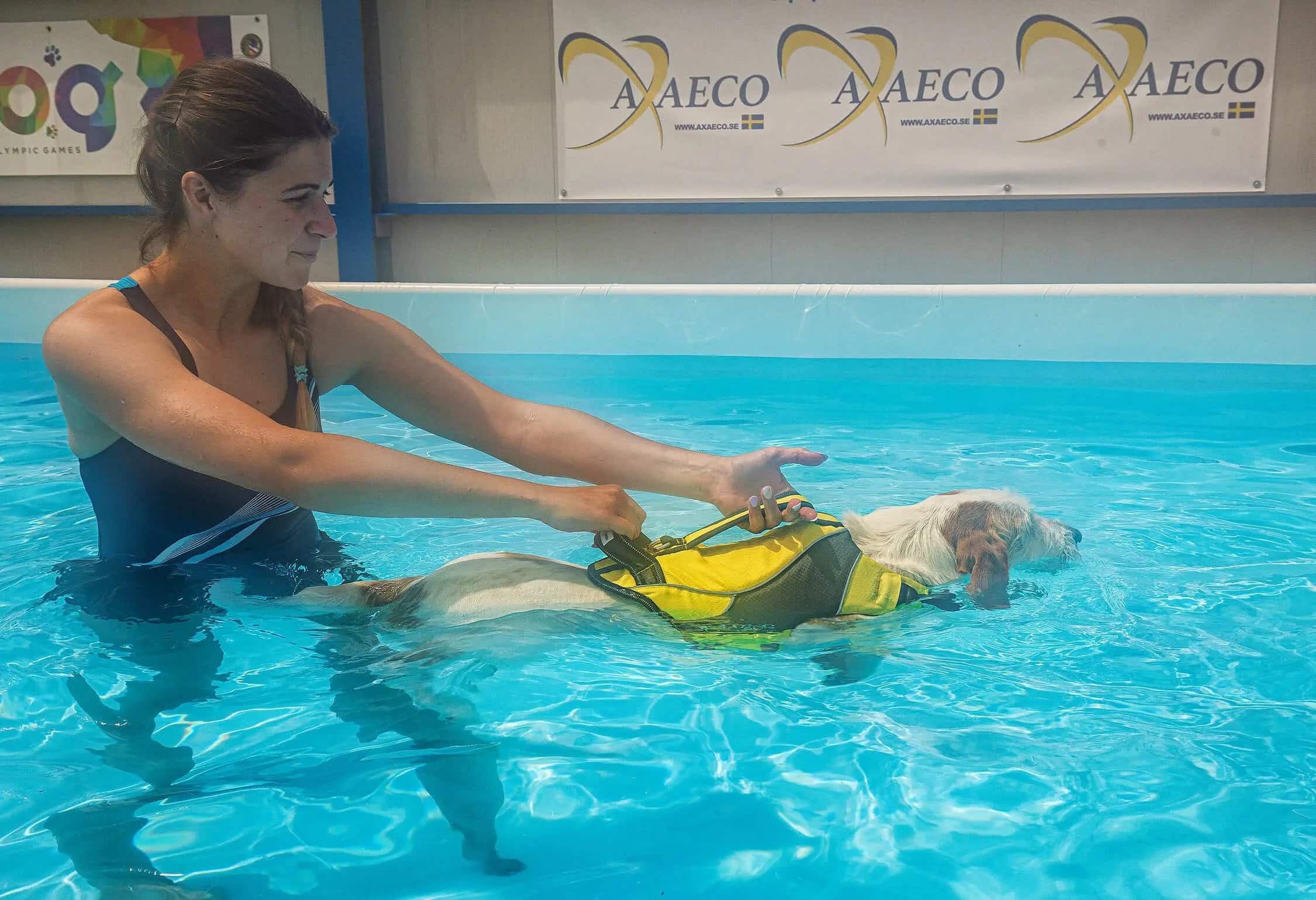 Giubbotto Salvagente Cani AQUA - immagine 6