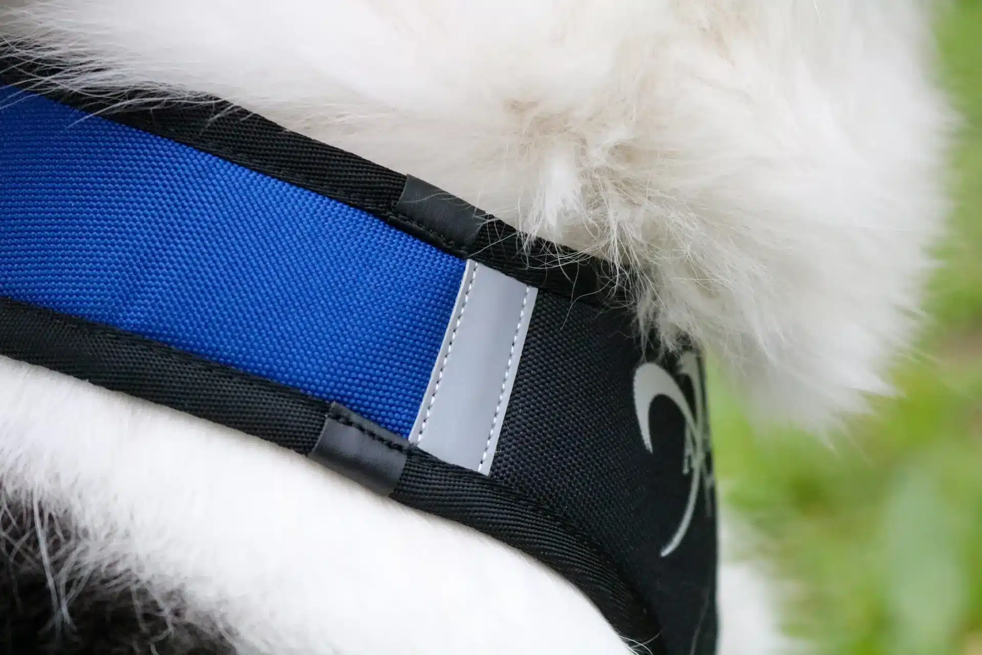 Dettaglio della fascia blu dell'Imbracatura X Shirt 2.0 con cuciture rinforzate e inserti riflettenti