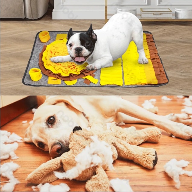 Bulldog francese che si diverte con la coperta olfattiva, stimolando la mente e l'olfatto