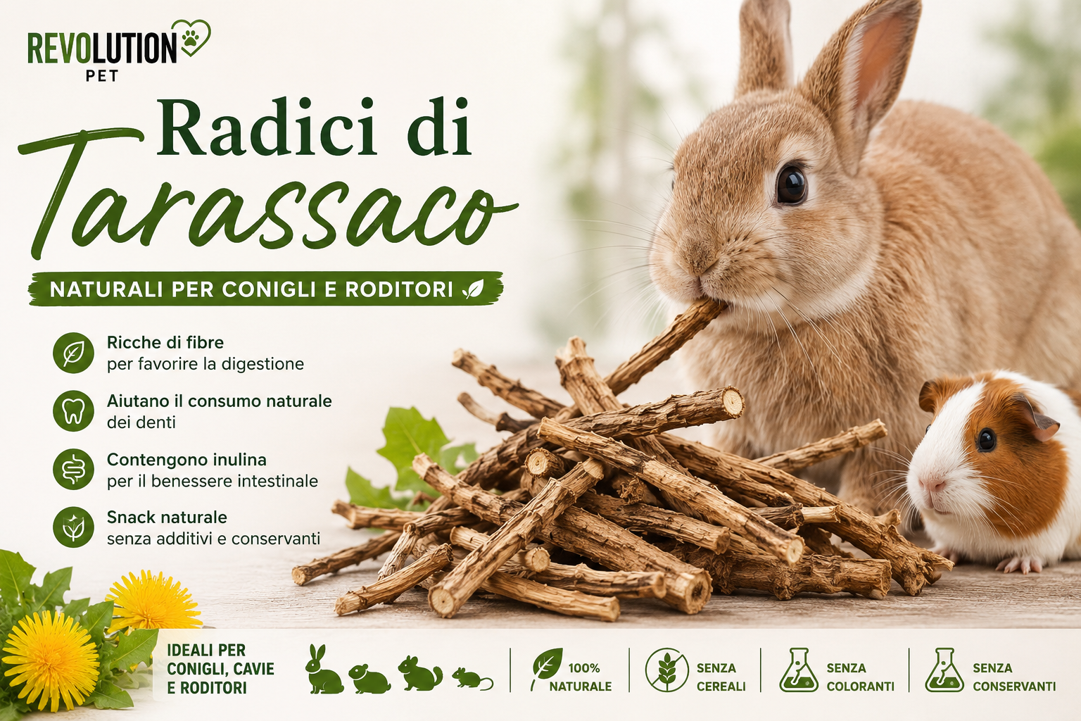Radici di tarassaco naturali per conigli nani, cavie e roditori - snack naturale ricco di fibre